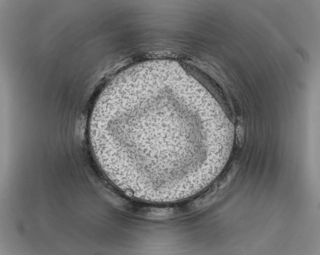 X0000114190458200911061407