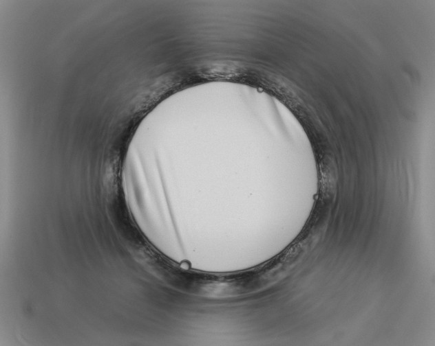 X0000114190460200911061407