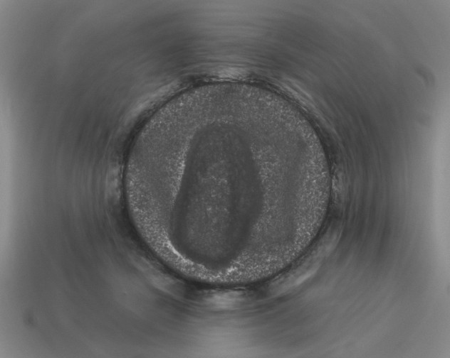 X0000114190462200911061407