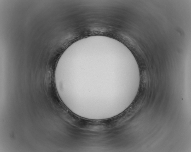 X0000114190463200911061407