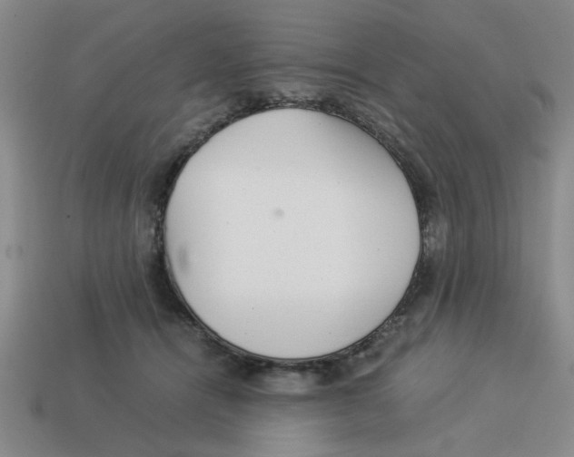 X0000114190464200911061407