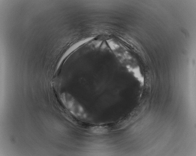 X0000114190465200911061407