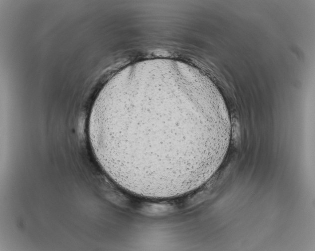 X0000114190466200911061407