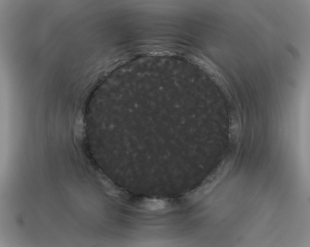 X0000114190469200911061407