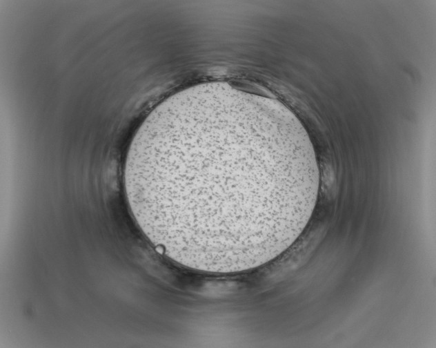 X0000114190470200911061407