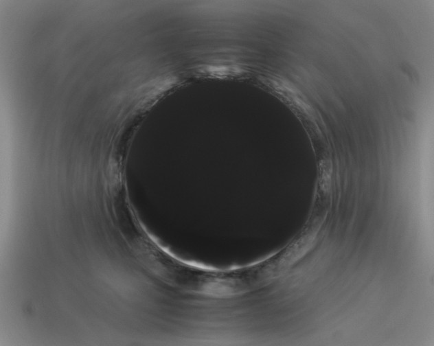 X0000114190471200911061407