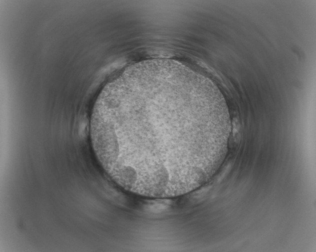 X0000114190474200911061407