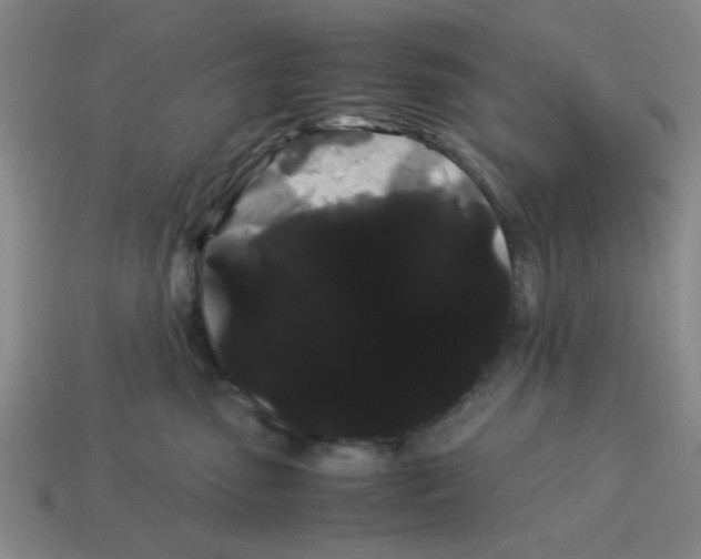 X0000114190475200911061407