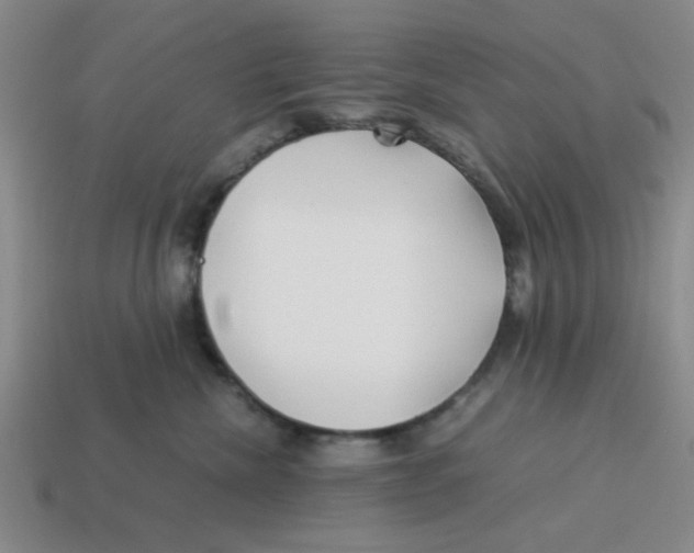 X0000114190476200911061407