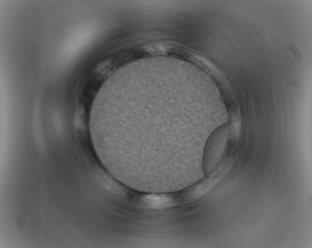 X0000114190477200911061407