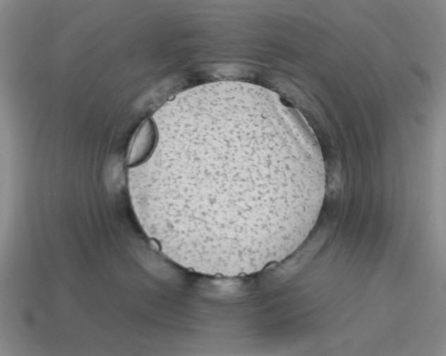 X0000114190478200911061407