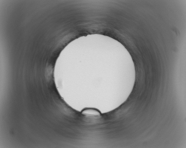 X0000114190480200911061407