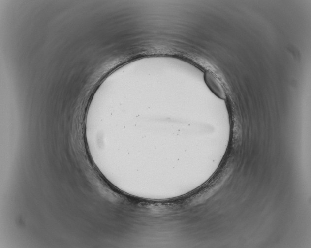 X0000114190481200911061406