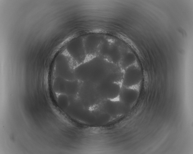 X0000114190482200911061406