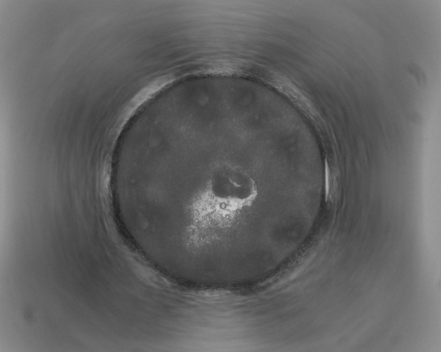 X0000114190483200911061406