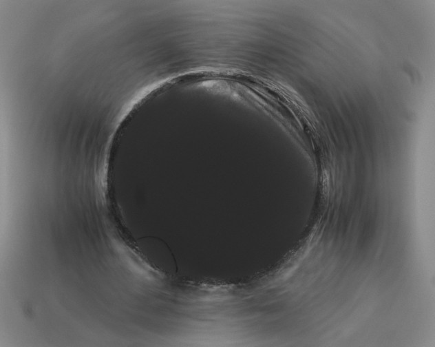 X0000114190484200911061406