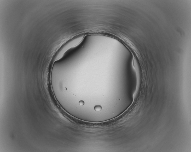 X0000114190485200911061406