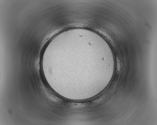 X0000114190486200911061406