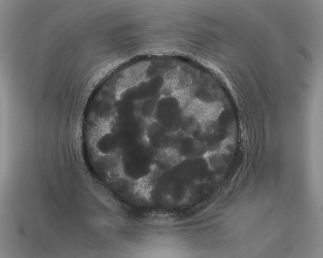 X0000114190487200911061406