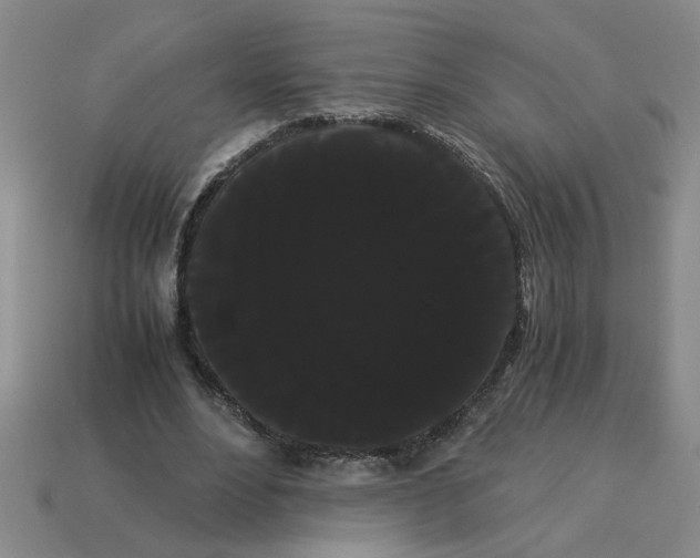 X0000114190488200911061406