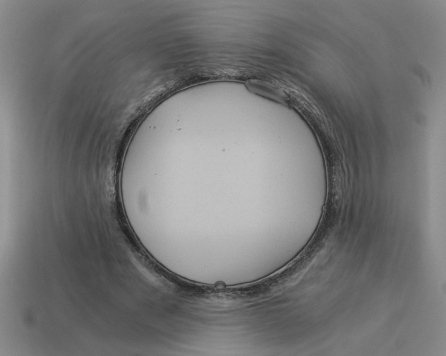 X0000114190489200911061406