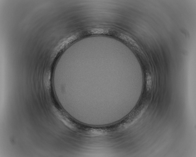 X0000114190490200911061406