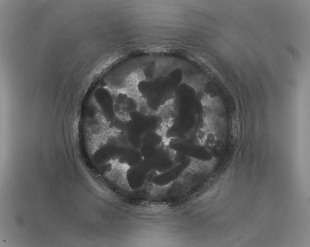 X0000114190491200911061406