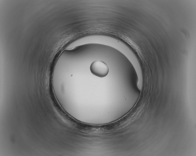 X0000114190493200911061406