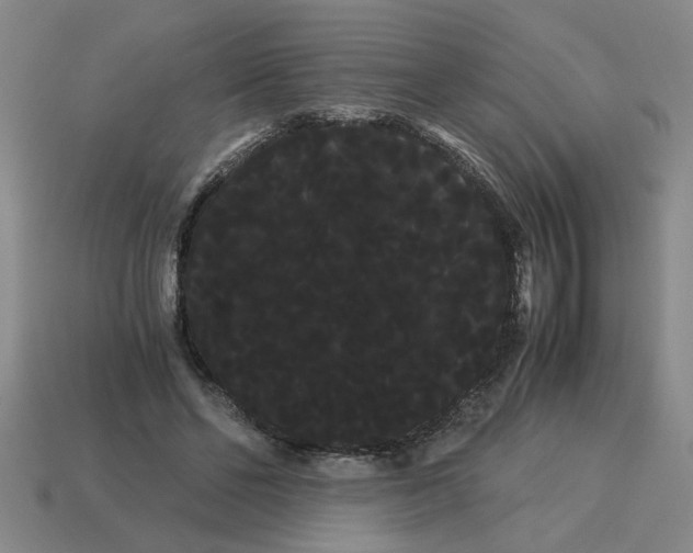 X0000114190494200911061406