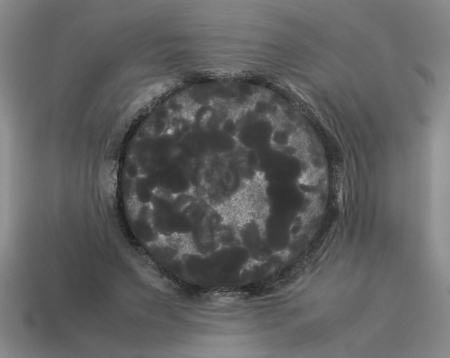 X0000114190495200911061406