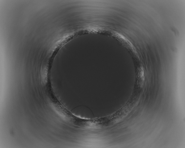 X0000114190496200911061406