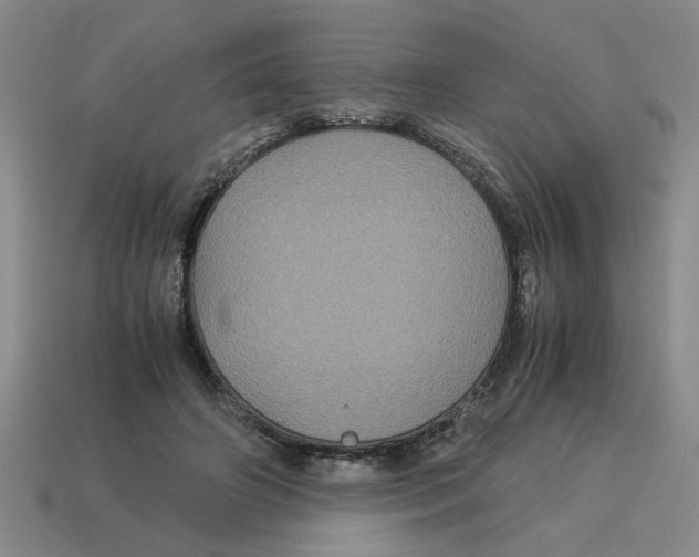 X0000114190498200911061406