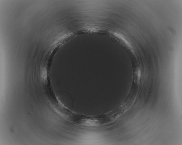 X0000114190500200911061406