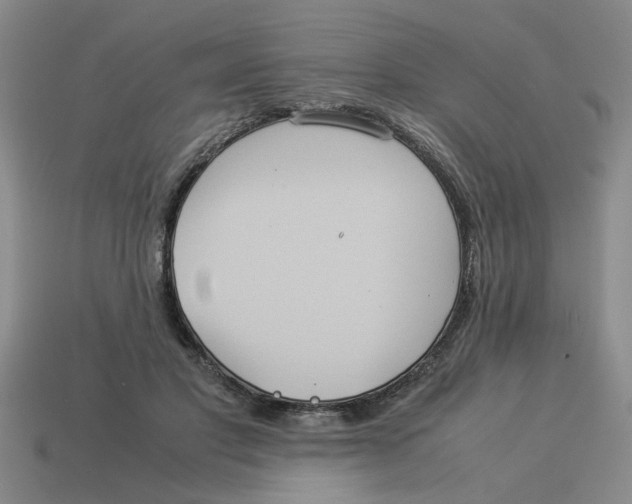 X0000114190501200911061406