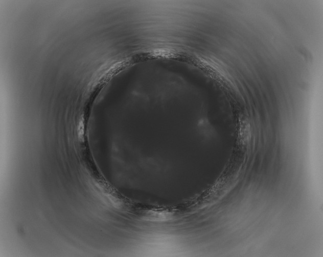 X0000114190502200911061406