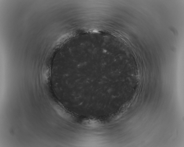 X0000114190503200911061406