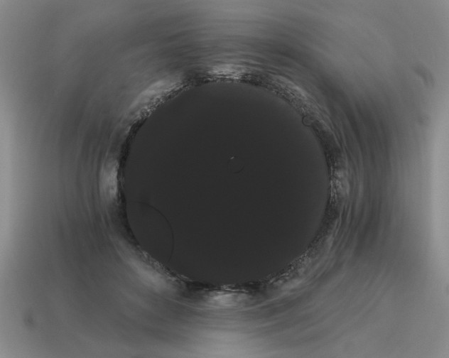 X0000114190504200911061406