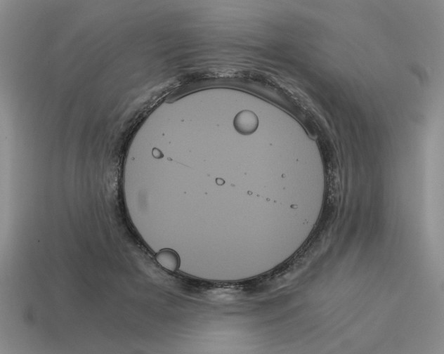 X0000114190505200911061406