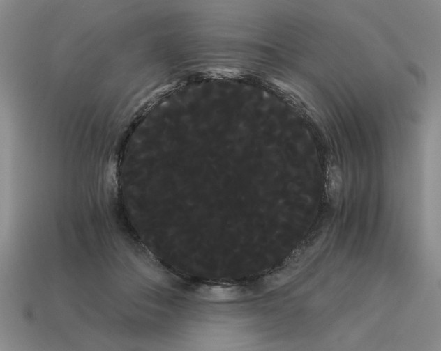 X0000114190506200911061406