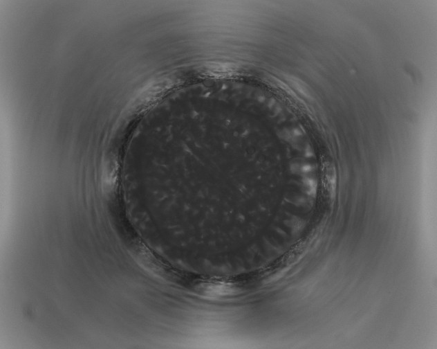 X0000114190507200911061406