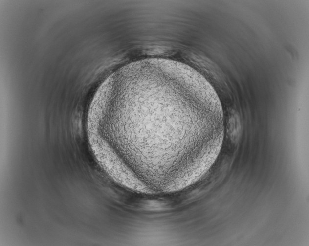 X0000114190510200911061406