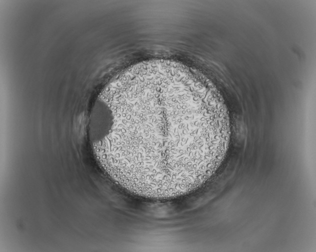 X0000114190511200911061406