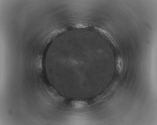 X0000114190512200911061406