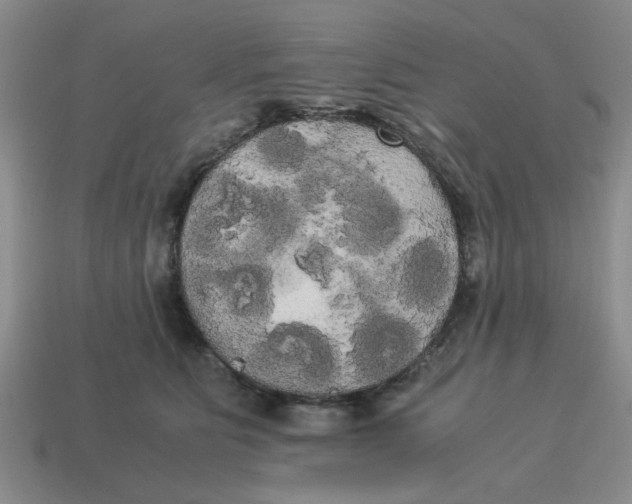 X0000114190515200911061406