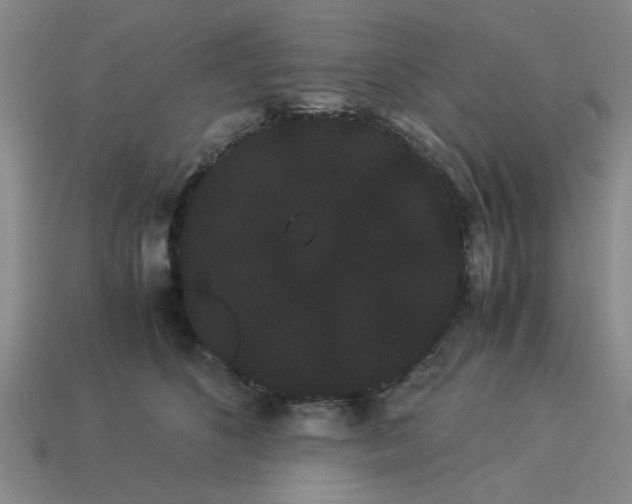 X0000114190516200911061406