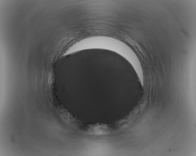 X0000114190517200911061406