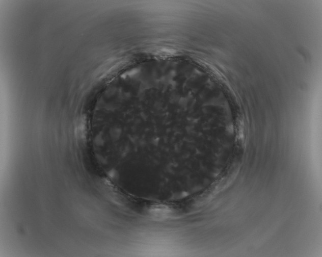 X0000114190519200911061406