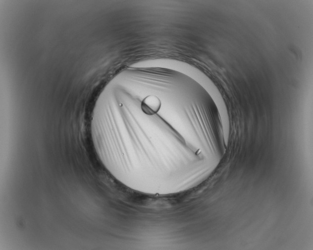 X0000114190520200911061406