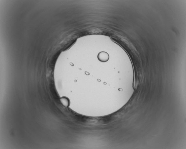 X0000114190521200911061406