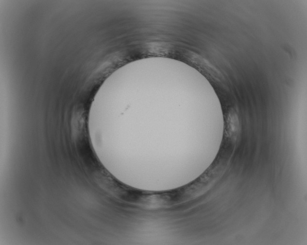 X0000114190522200911061406